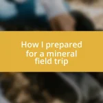 How I prepared for a mineral field trip
