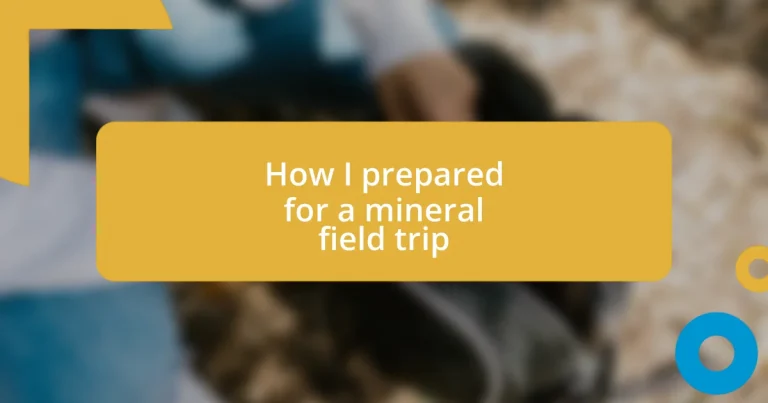 How I prepared for a mineral field trip