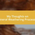 My Thoughts on Mineral Weathering Processes