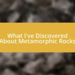 What I’ve Discovered About Metamorphic Rocks