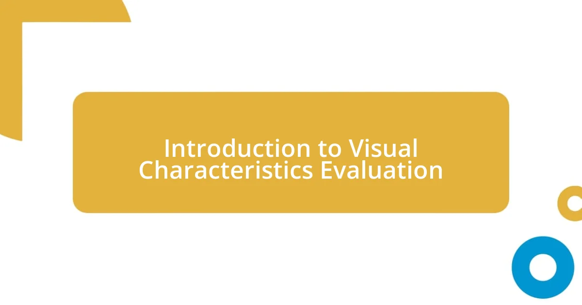 Introduction to Visual Characteristics Evaluation