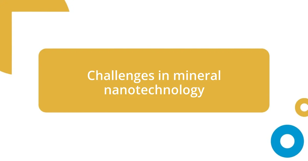 Challenges in mineral nanotechnology